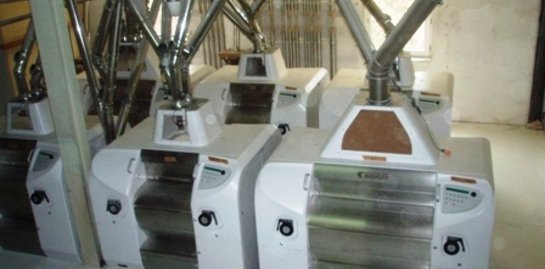 Walzenboden 50t/24h