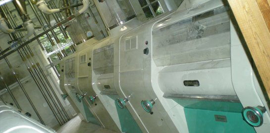 Walzenboden 50t/24h