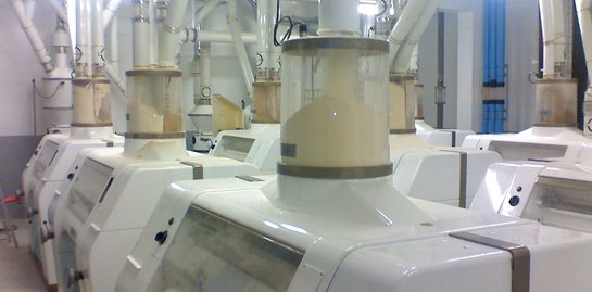 Walzenboden 250t/24h